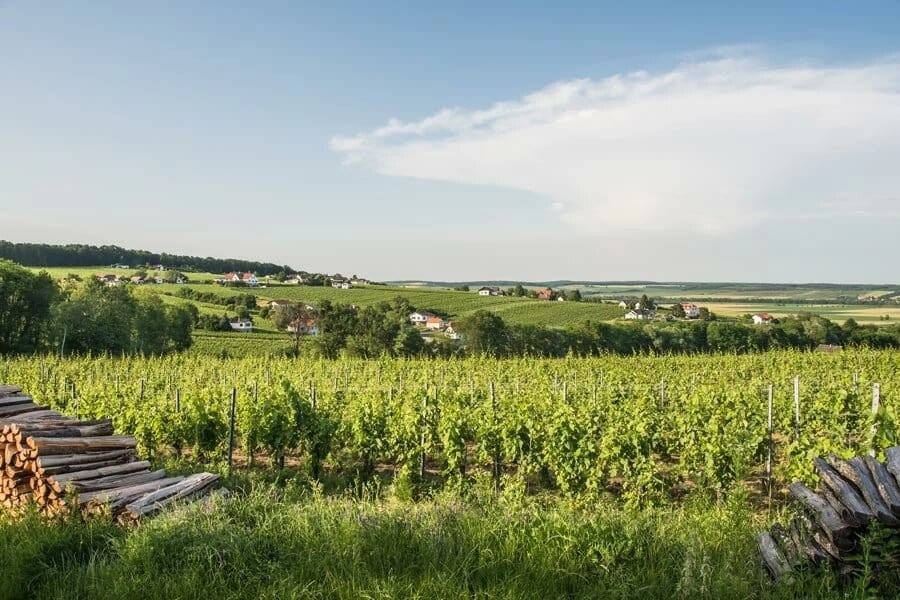 Weinregion Deutsch-Schützen