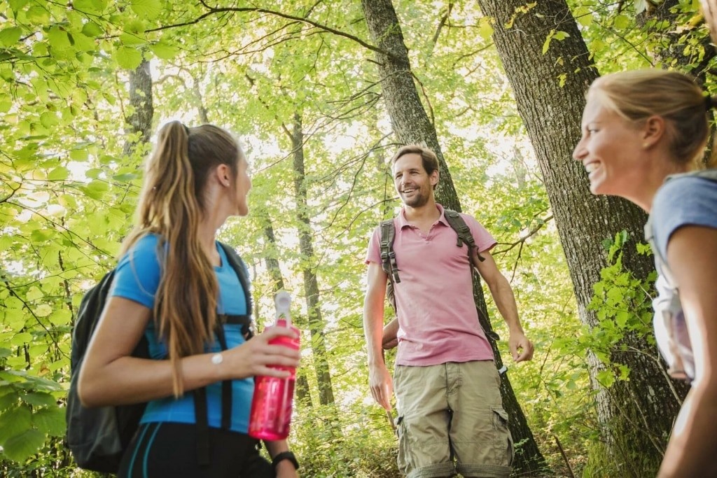 Wandern in den Wäldern des Südburgenlandes