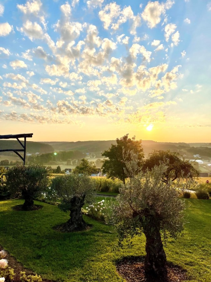Sonnenaufgang Olivenhain Gartenparadies
