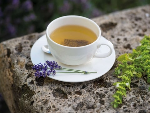 Detox-Tee zum Entschlacken im Hotel Larimar