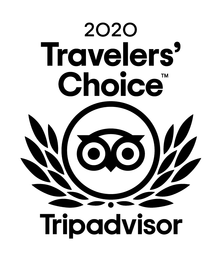 Travelers Choice Award 2020_RGB