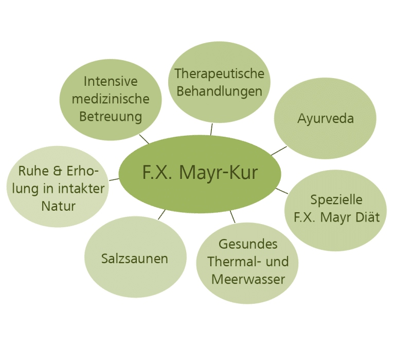 FX-Mayr Faktorenkonzept